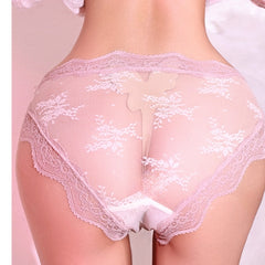 Lace low-Waist Briefs Sheer Mesh Underwear
