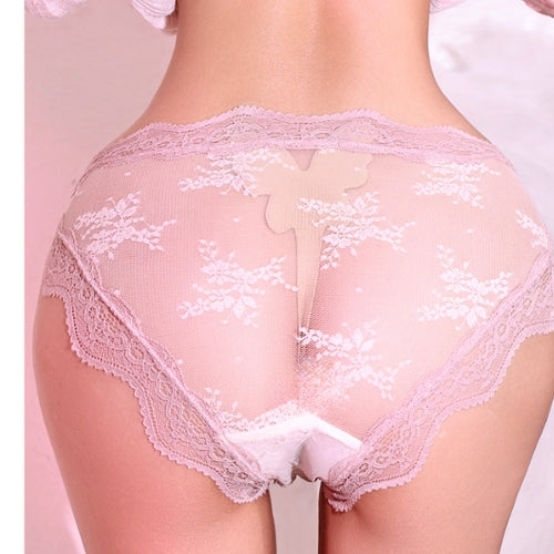 Lace low-Waist Briefs Sheer Mesh Underwear