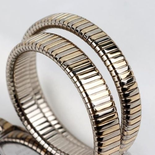 Women's Snake-Shaped Quartz Watch