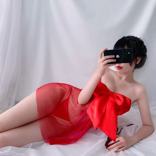 Sheer Mesh Bow Tulle Nightdress