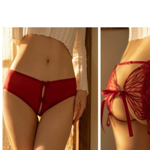 Lace Open-Crotch Panties Mesh Lingerie