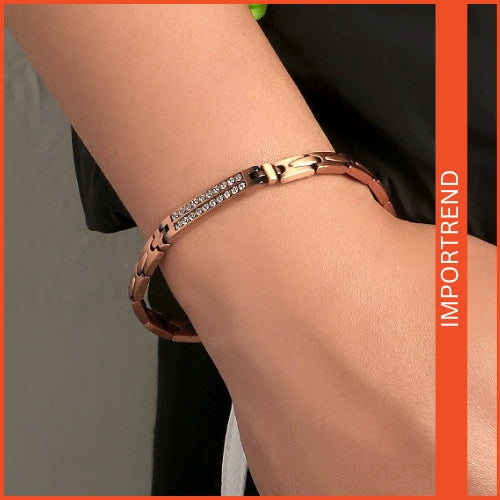 Tortoise Magnet Negative Ion Bracelet for Men